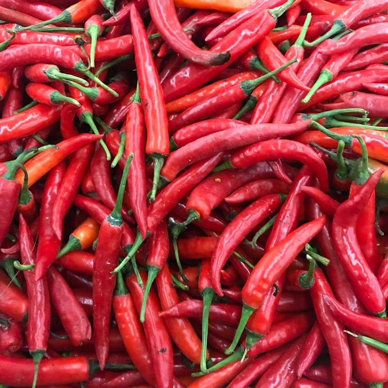 Calabrian Diavolicchio Pepper